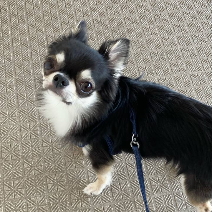 Addaa6ac 40b0 4d53 92d0 d077d3299a4c 1620447165781