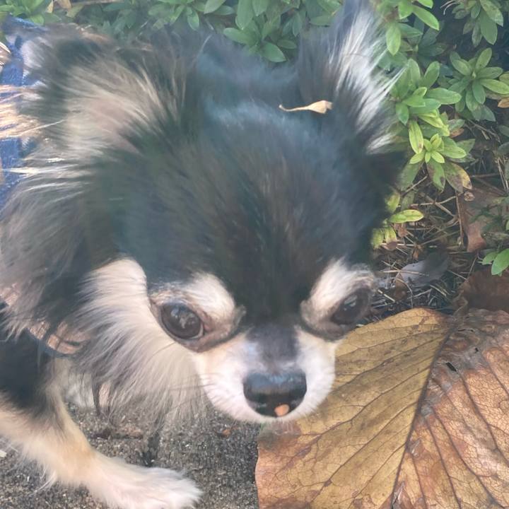 Addad854 1252 4fe2 8283 96e2feca28aa 1637415699404