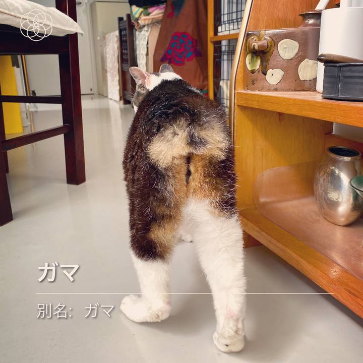 Addb0abc 8db7 49cb a79a 21d4f35a99ea 1594434833819