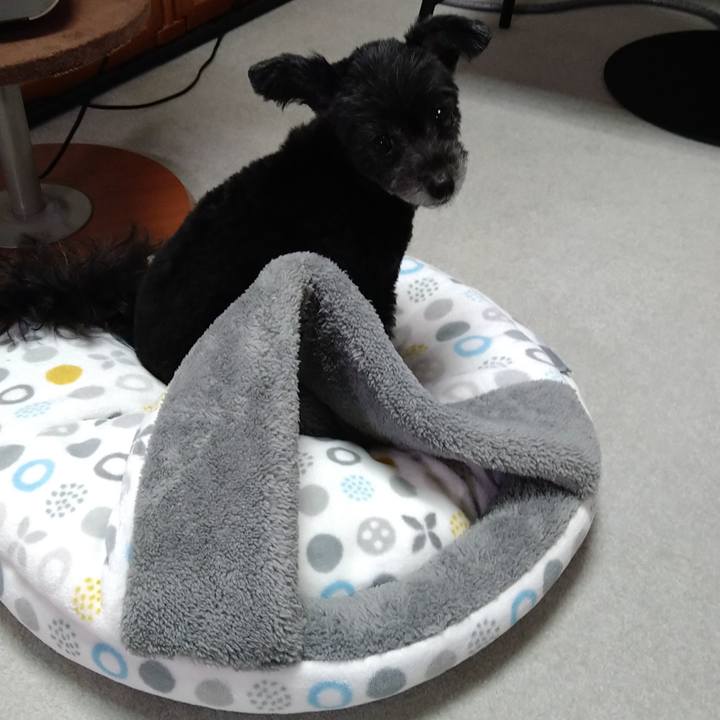 Addb4076 84a8 4e20 80fb b1b6bdfbf645 1634556696646