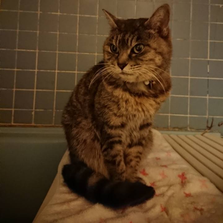 Addb4b2b 4d65 43e6 847b 215139eb2e37 1578302133896