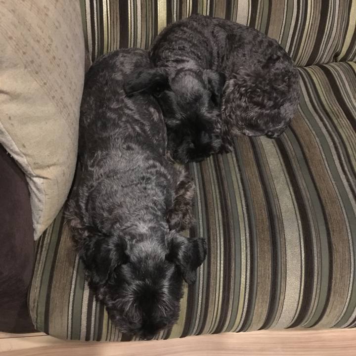 Addb5791 4ff3 4184 b434 e68689dd1546 1508506363131