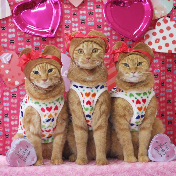 Addb8369 c5ff 4ffe a9df aff647bd44bb 1644832769245