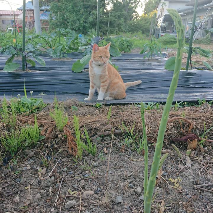 Addb8d17 cc46 4826 b8ae ac075b6b3d4d 1592387199882