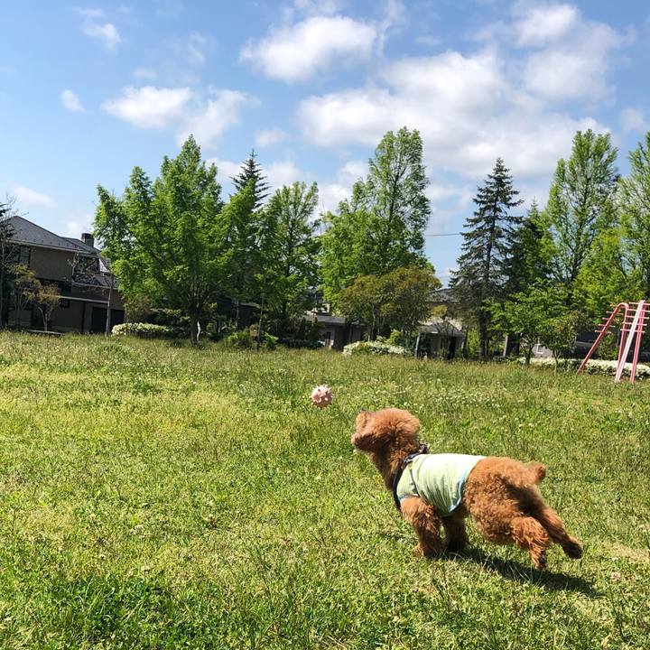 Addba7ef 28f4 4f11 8896 e882ce250841 1620876908511