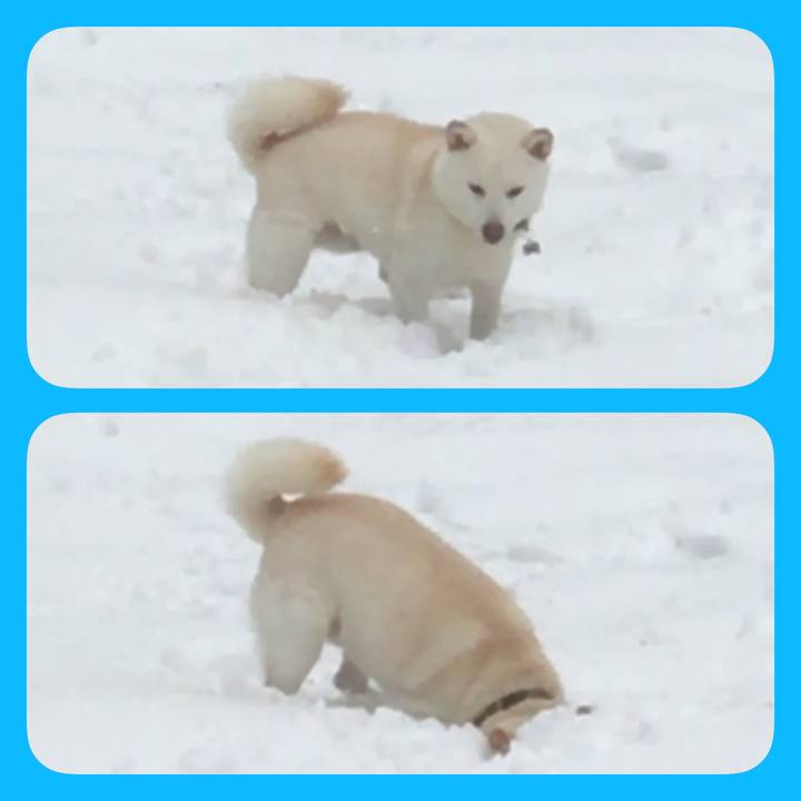 Addbb3df ae47 48ac adae 7036c2f87852 1517523170824