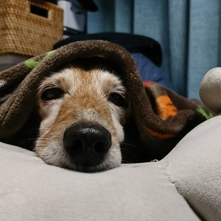 Addc6524 1554 475c b1ae 10c71f0b4334 1516745644912