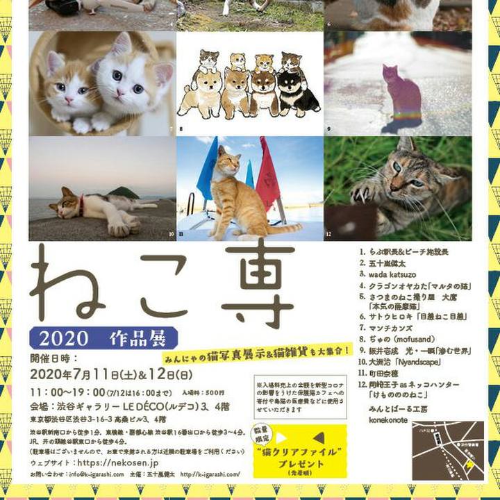 Addc6abf 3191 4648 b159 f6ff63343fc3 1594393233221