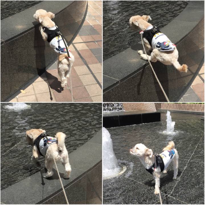 Addc7cf3 1824 4196 affd 61331013b0ea 1525583475230