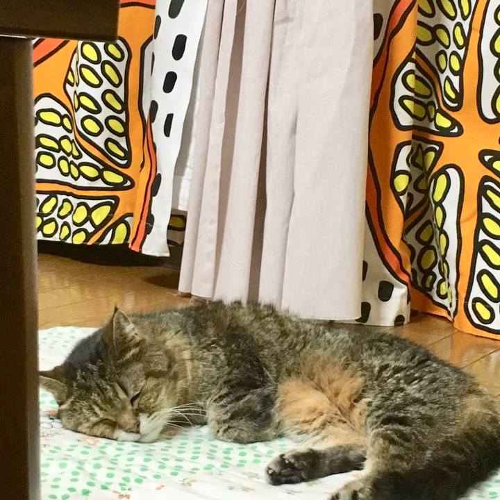 Addcab00 e93b 4788 aeec 4209f1a45234 1535289398900