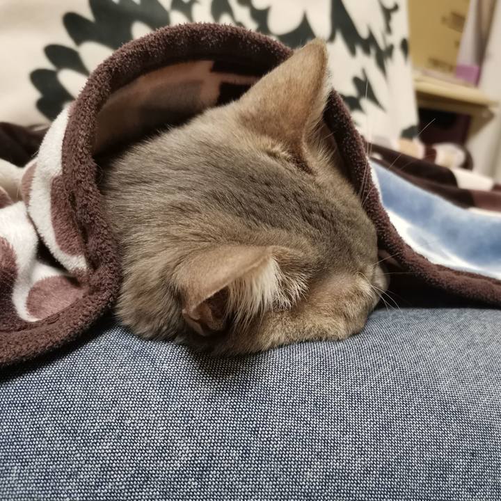 Addcbf3a c523 460b 8808 6d4a1c4cb85d 1613571156756