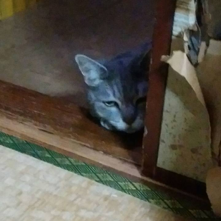 Addcc0d1 847c 4528 a3dc 7676e64f3276 1591219187633