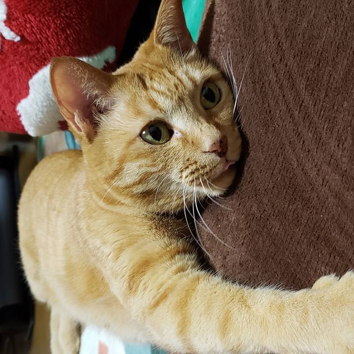 Addcc821 47a2 483a b7e6 960f48eaba56 1733644360380