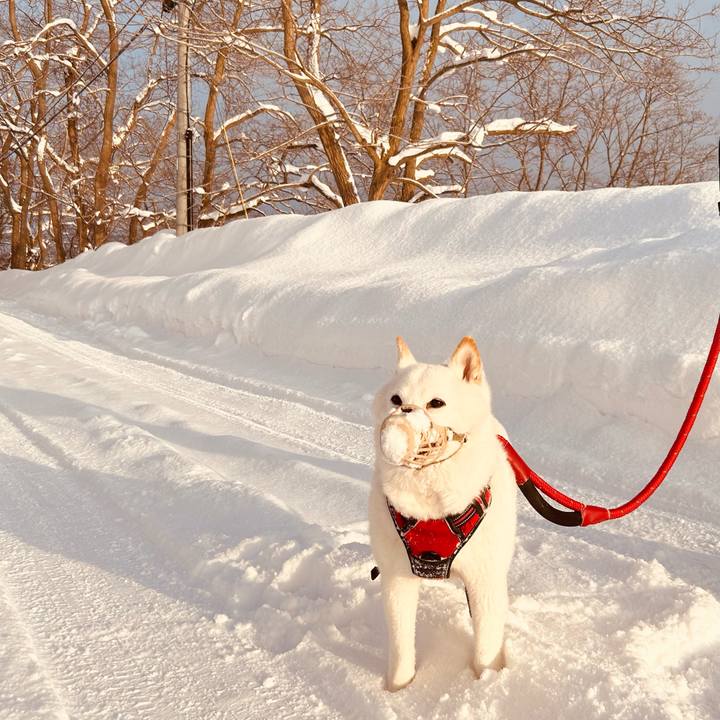 Addcefa2 0094 4f57 8bdb bf93596550bb 1708814258636