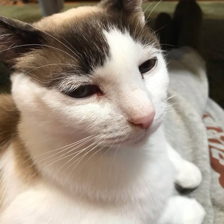 Addcf623 4a2b 44c9 b7a2 adc5f469d352 1614401677469