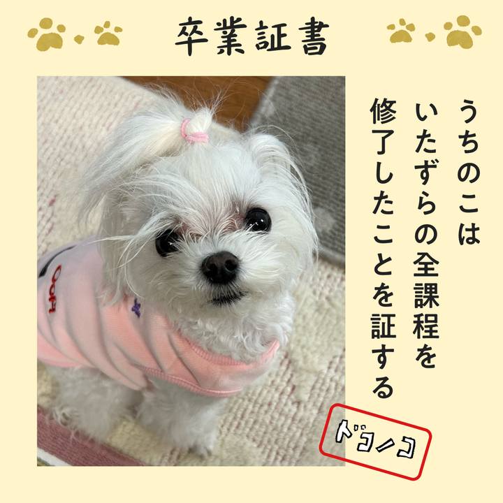 Addd0d29 ec20 4954 bf48 de2e66b963fb 1771927958692