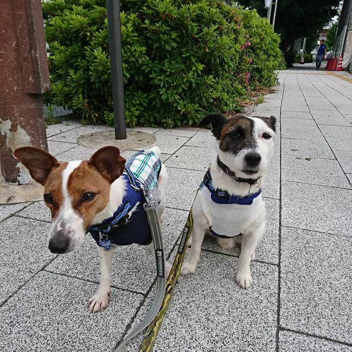 Addd750f 2188 4e8d ac17 d3ca1b3572c9 1526509214846