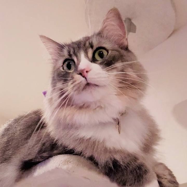 Addd8a4a 06fb 48df 8e50 5870ebd27410 1595439623551