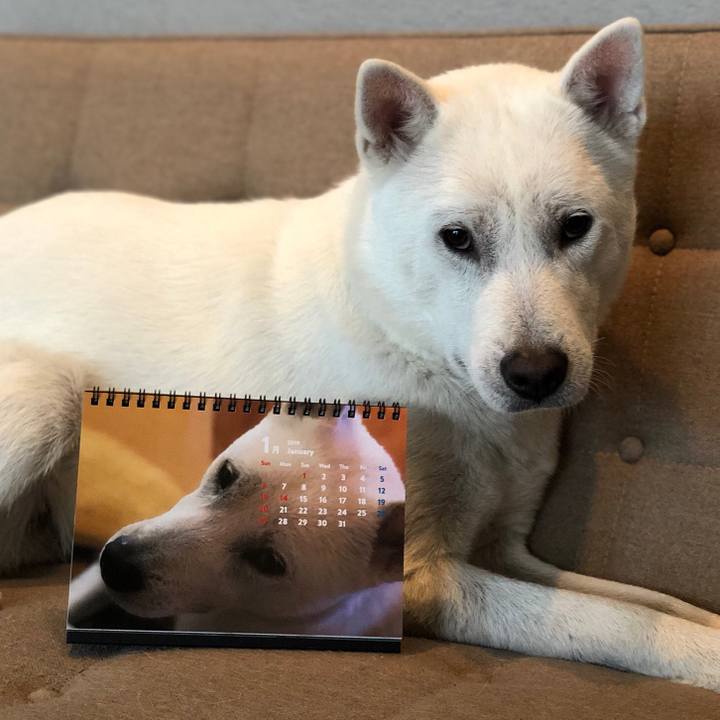 Addd99ce 057e 4196 b878 86c2323d6931 1546138447257