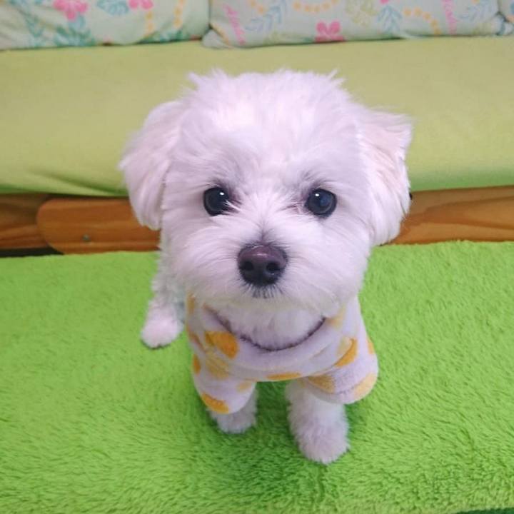 Addda3da 0c6d 4bcd a50b 2b8a2ed3948e 1519386730597