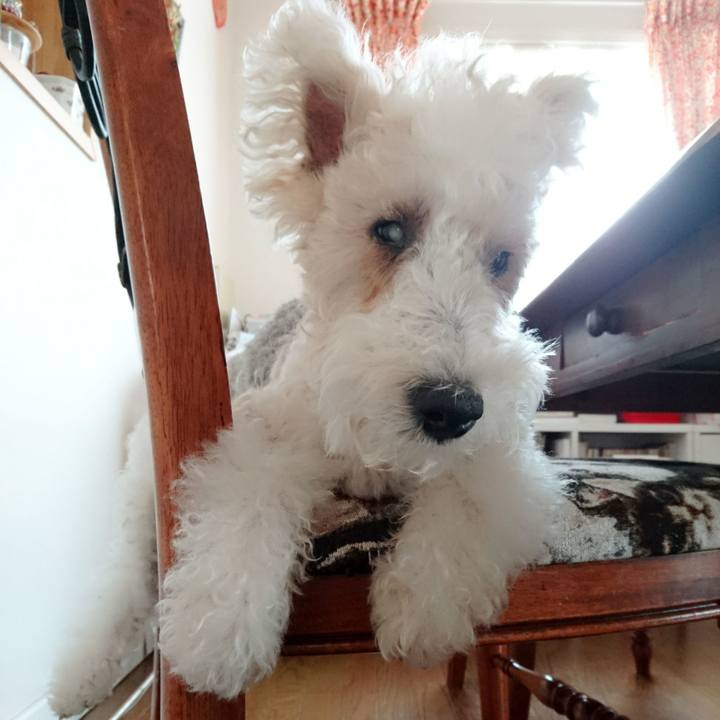 Adddb2bb 9618 49db 8915 7c128d22f135 1522127958644