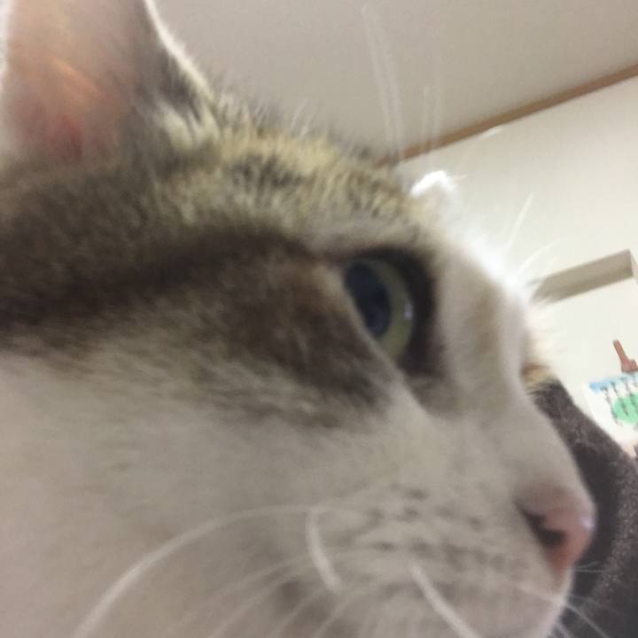 Adddbc32 0884 4fb5 b4ec cf9a6ff0f74d 1515848084390