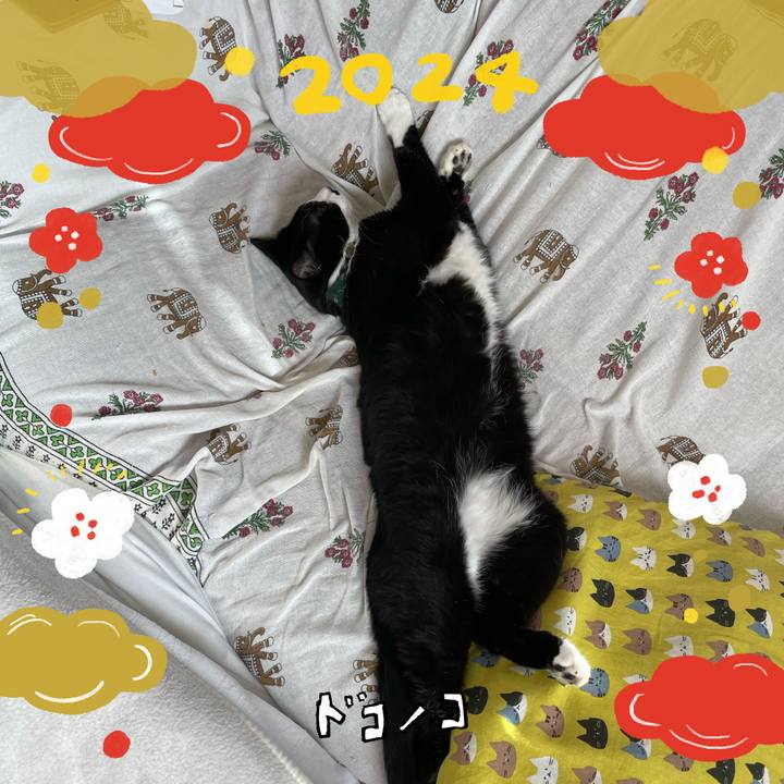 Addddcae 5bae 49ea ab5c 3afd58ab7ace 1704078742057