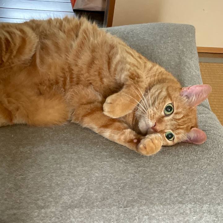 Adddef49 8623 49d7 baf6 86531b973251 1754529250459