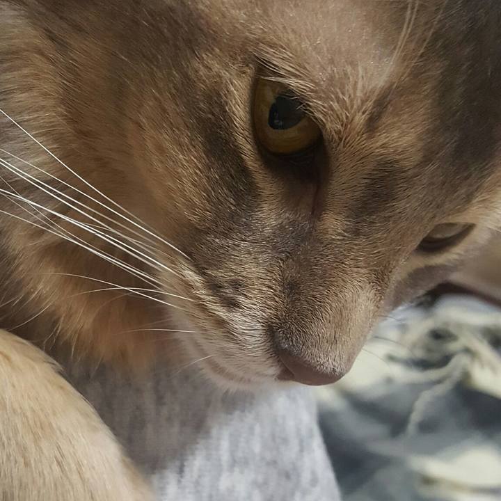 Adde0c4e 1bbd 40bc 878e 58b061c5d85f 1557051019417