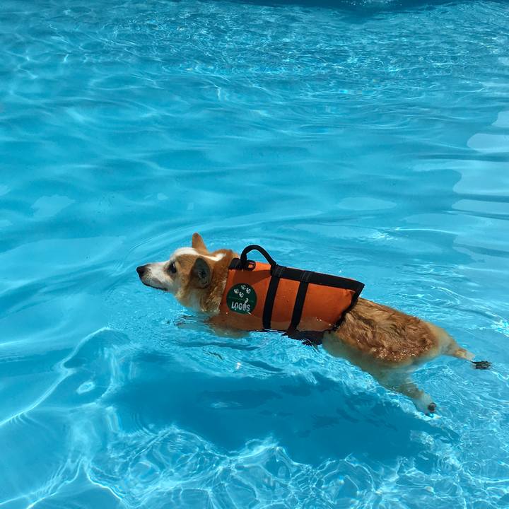 Adde1f92 7a08 41d6 bfe0 ef46b0931259 1588471271622