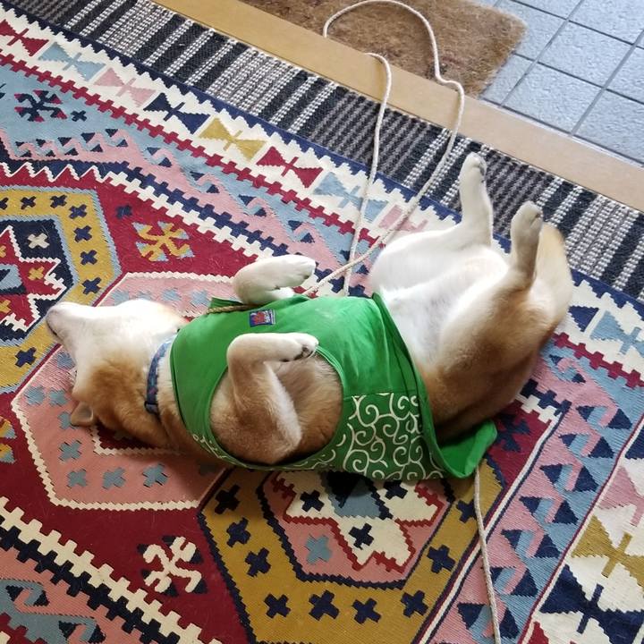 Adde361a 744d 41fd 8442 4b826f754655 1586561471779