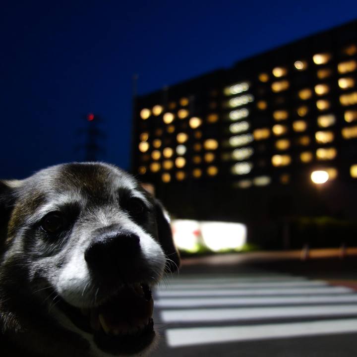 Adde3983 e339 4b95 942c d306eb472d57 1526381089215