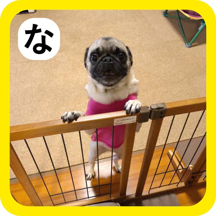 Adde4646 474f 480d a803 9a6566e7122c 1514797436970