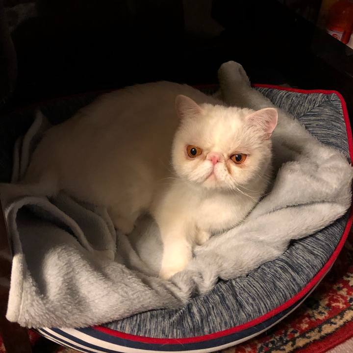 Adde4c71 b8c0 42fd 9014 e4ca9ce170f9 1620214626902