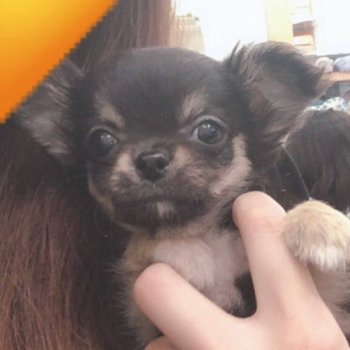 Addea0fb a053 4d0f 82c3 9103a35f5b45 1591228682221