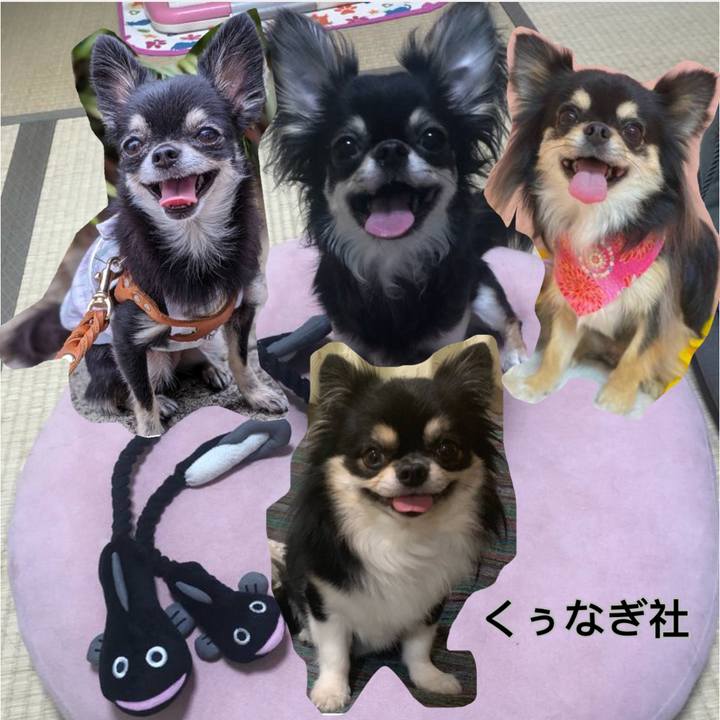 Addec324 f4a0 4030 97d3 27b4def98520 1610176336997