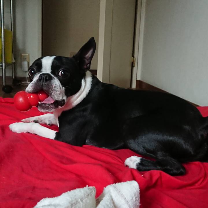 Addec753 5214 4cb5 9fa0 02fa3308a286 1530860671565