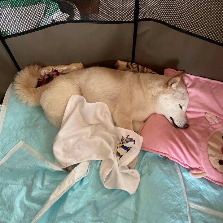 Addf10b6 6581 4b1f 8c5a 16e9136b191d 1650537964725