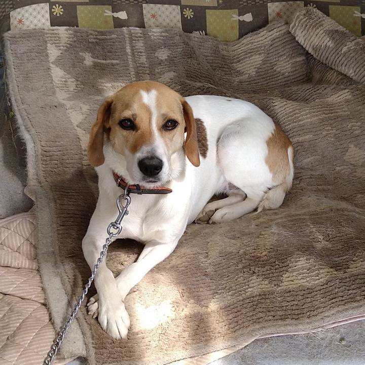 Addf8163 7466 46bc 90ae 1a8f499388af 1624341156066