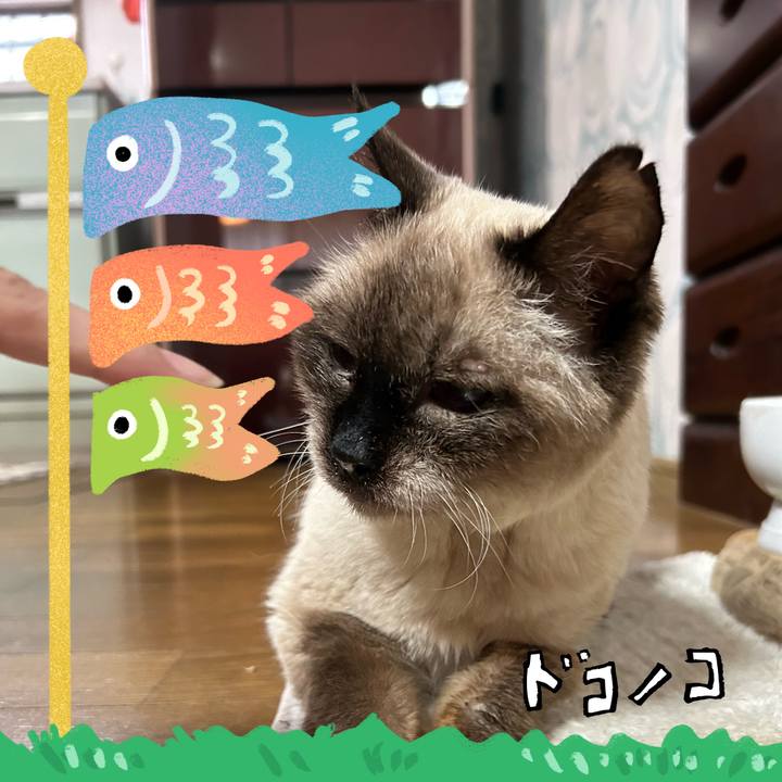 Addf96ae 205e 42d5 b7d2 e8b0e29ff172 1714902883496