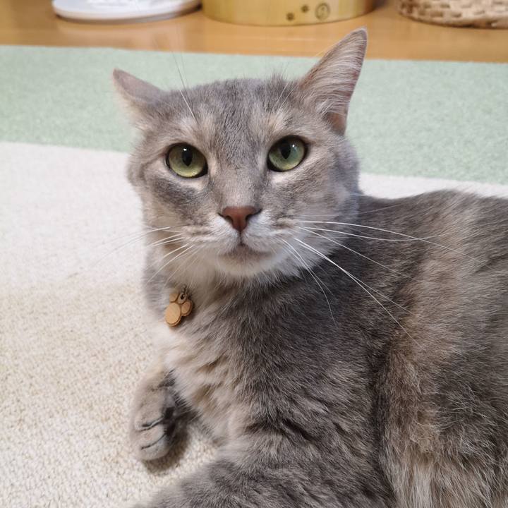 Addfd112 de36 4387 9091 68162c9fea98 1591278495757