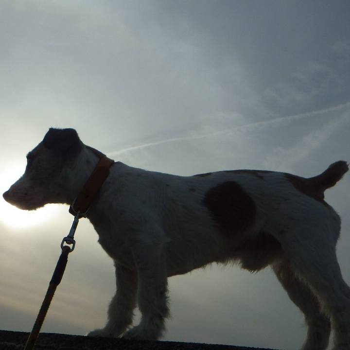 Addfd69b 99b9 4df4 a96d 64b6ada7e264 1557830815318