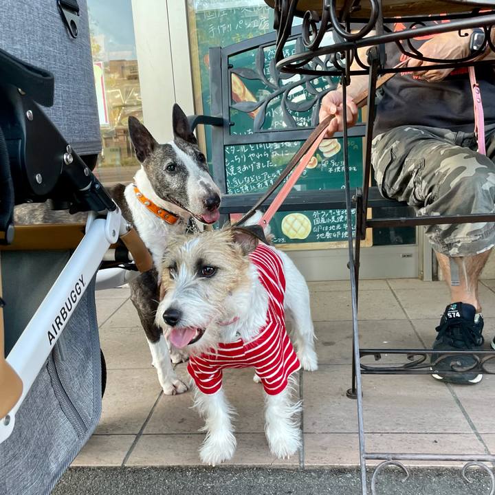 Addfe50a 96e4 4499 8b90 e0151950cd5d 1623498122057