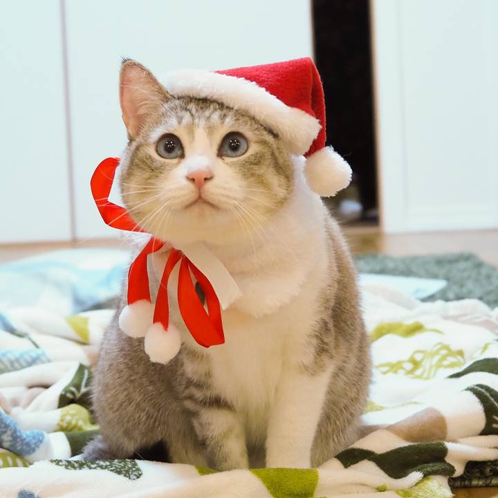 Ade002cc c184 4cd1 91c3 7d83012488d3 1608537575531