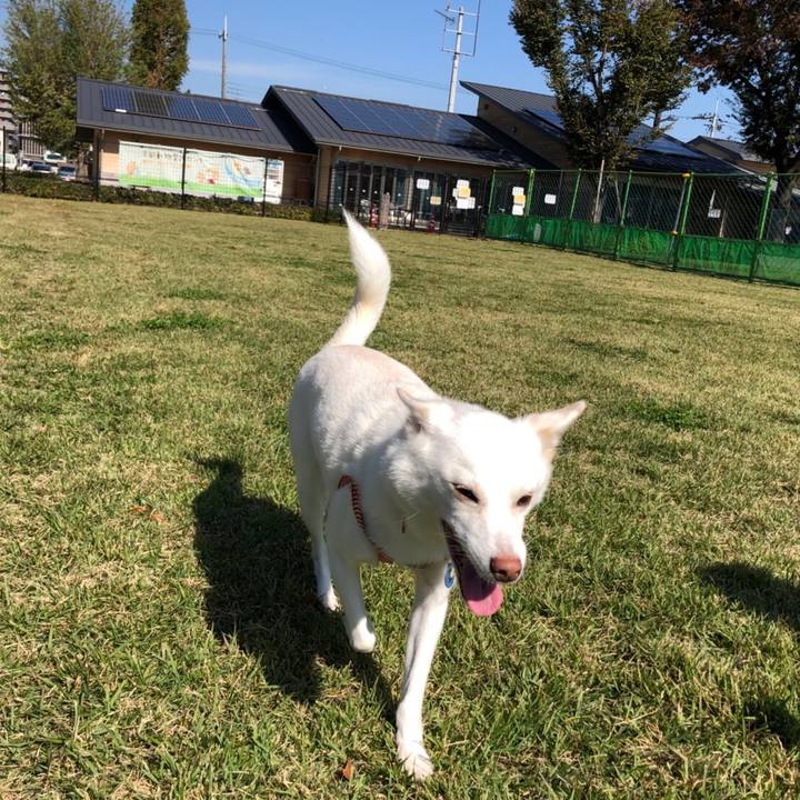 Ade0cbae d03e 4d92 b125 a8cfe236b8f6 1540544017228