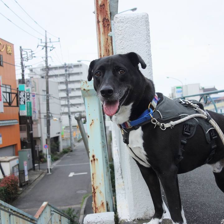 Ade0f4c1 6555 497a be47 facea4d2d655 1662249187476