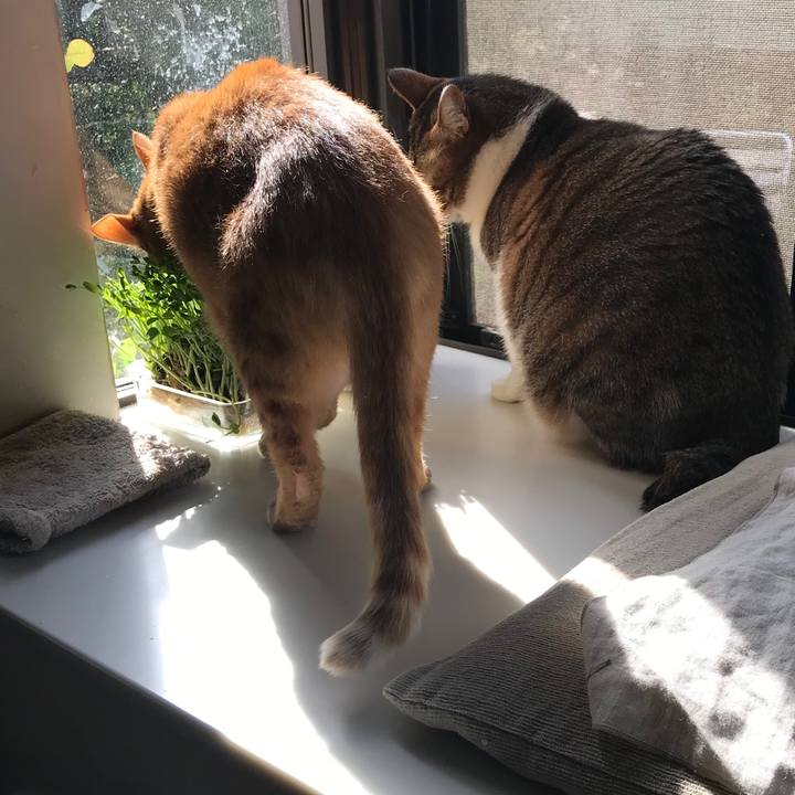 Ade130aa 1c33 41bb 9394 5469f7d70faf 1555223095071