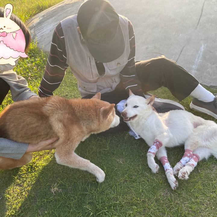 Ade1b984 a4f8 40b6 b0e6 1ad8ac85f5d7 1685069041237