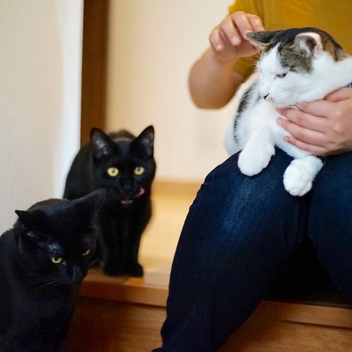 Ade1de8d 2224 4e9b 82f6 fe0e78ced868 1525131098526