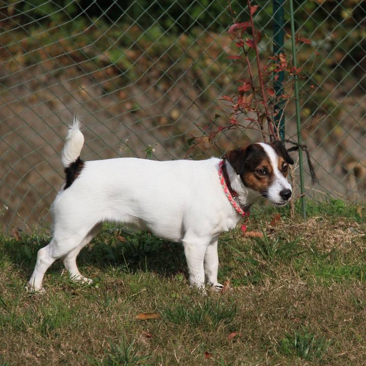 Ade1e05d 276d 4399 af93 5dbdc211863a 1512216870650